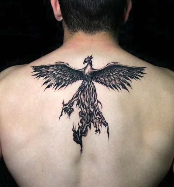 Black Phoenix Tattoo on Back