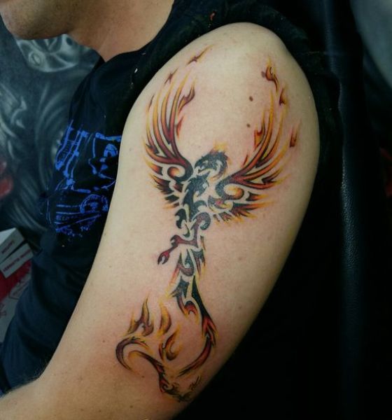 Phoenix Tattoo Design for Men