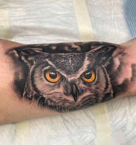 Owl Tattoo Ideas for Men