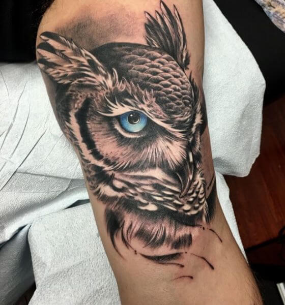 Incredible Horned Owl Tattoo