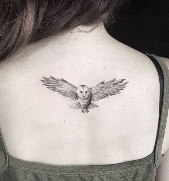 Little Owl Tattoo on Back