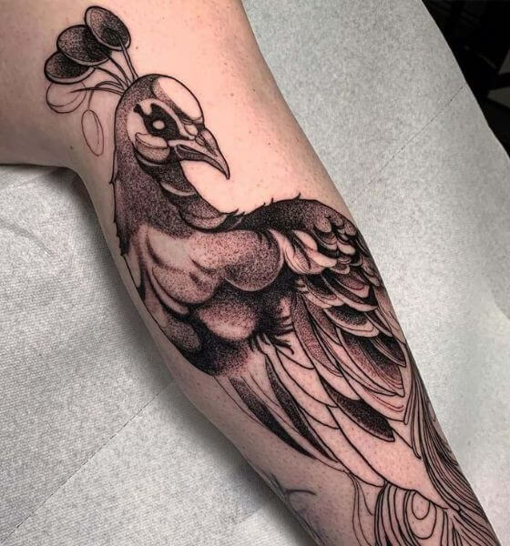 Black ink peacock tattoo