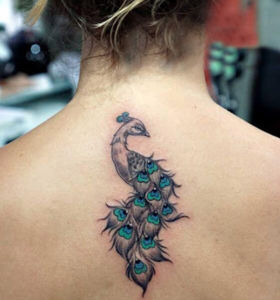 Beautiful Peacock Tattoo on Back