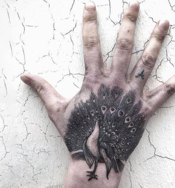 Peacock Tattoo Ideas on Hand