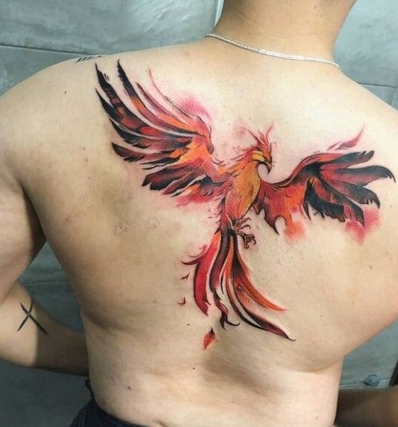 Phoenix Tattoo on back