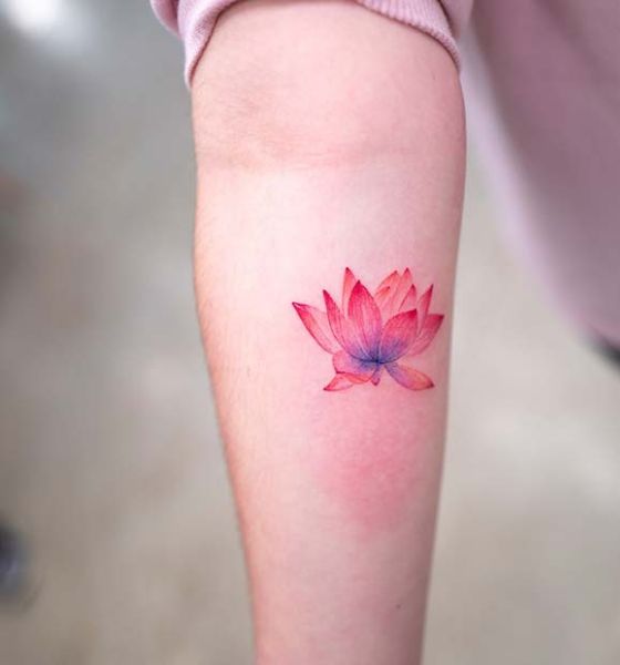 Realistic Lotus Flower Tattoo on Forearm