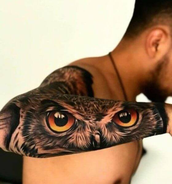 Realistic Owl Tattoo for Men