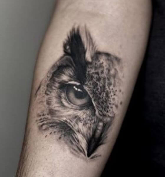 Sharp Owl Tattoo