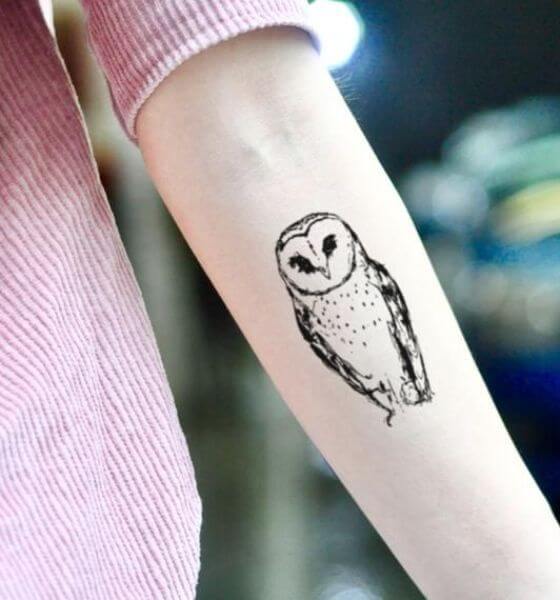 Beautiful Owl Tattoo for Men and Women