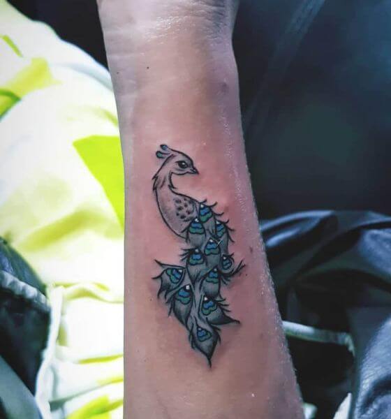 Simple Peacock Tattoo