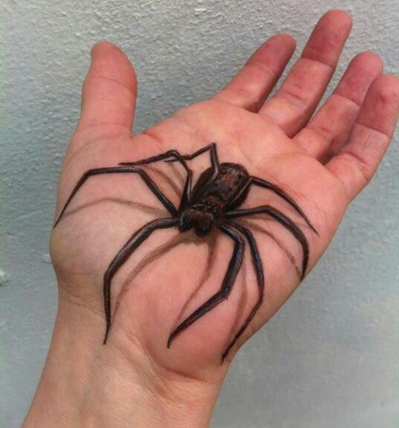 3D Spider tattoo idea