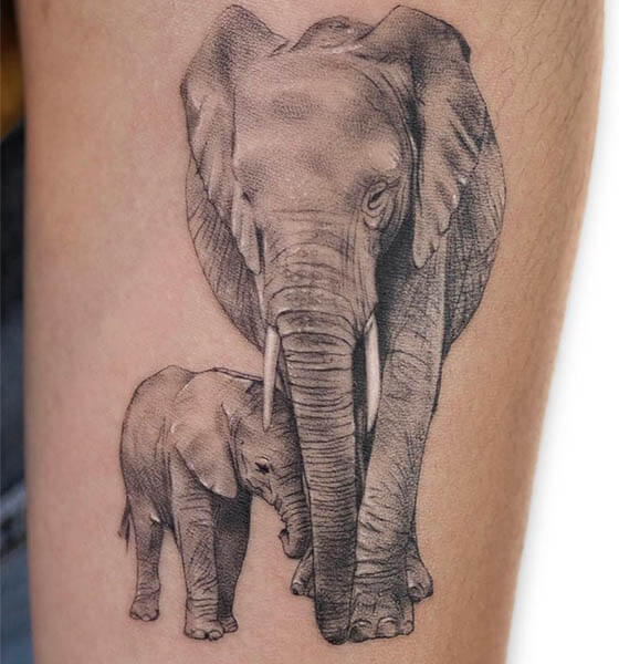 Asian Elephant Tattoo Designs