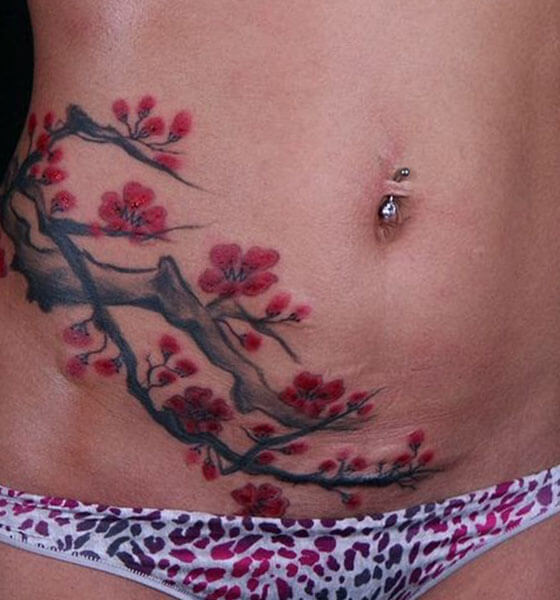 Cherry Blossom Tree Tattoo on Stomach