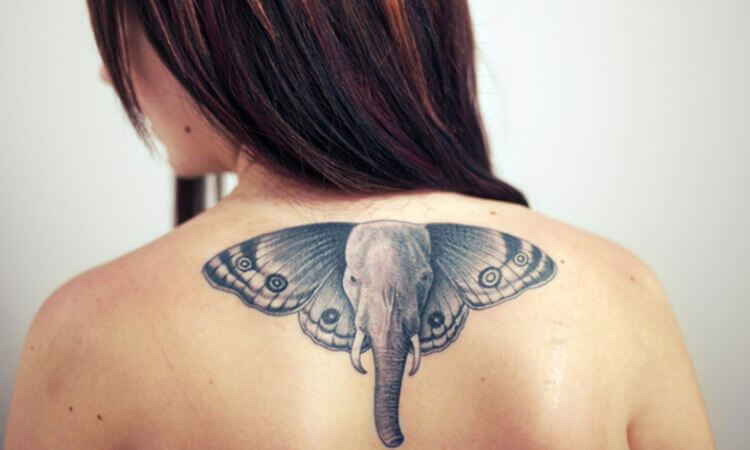 Elephant Butterfly Tattoo Designs on Back