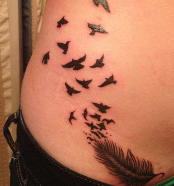 Feather Stomach Tattoo Ideas for Females