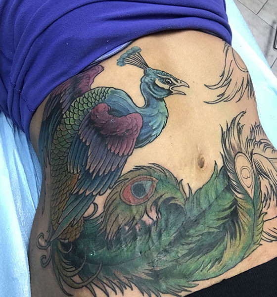 Peacock Tattoo on Stomach