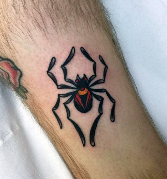 Traditional spider tattoo design