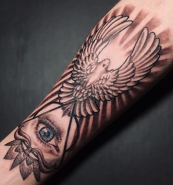 Amazing Dove Tattoo Design on Arm