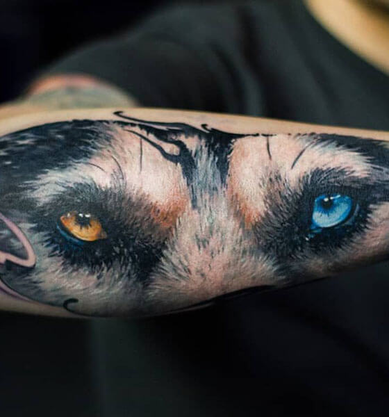 Amazing Wolf Eye Tattoo