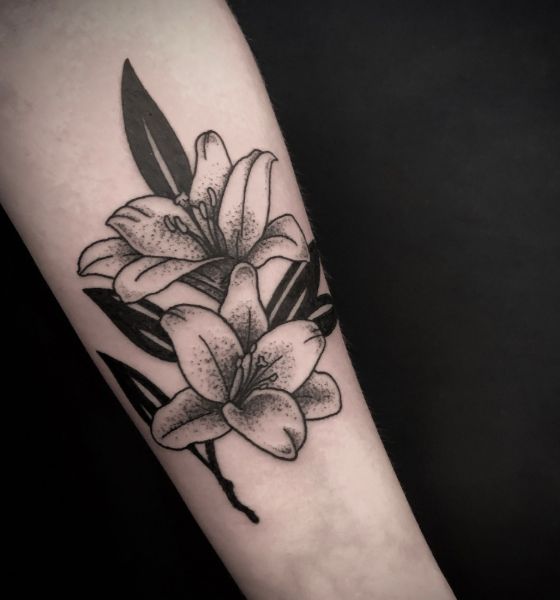 lily in Black  Gray Tattoos  Search in 13M Tattoos Now  Tattoodo