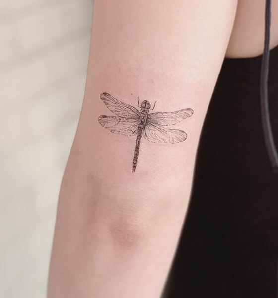 Dragonfly Tattoo Design