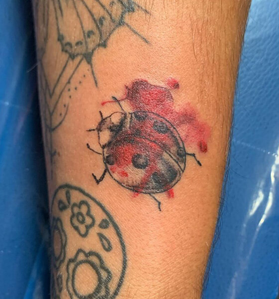 Ladybug Tattoo Design