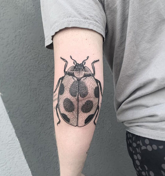Ladybug Tattoo on Elbow
