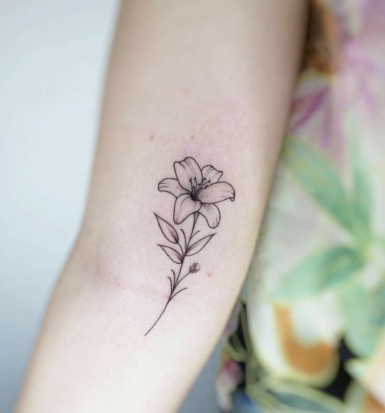 Small Lily Tattoo Design