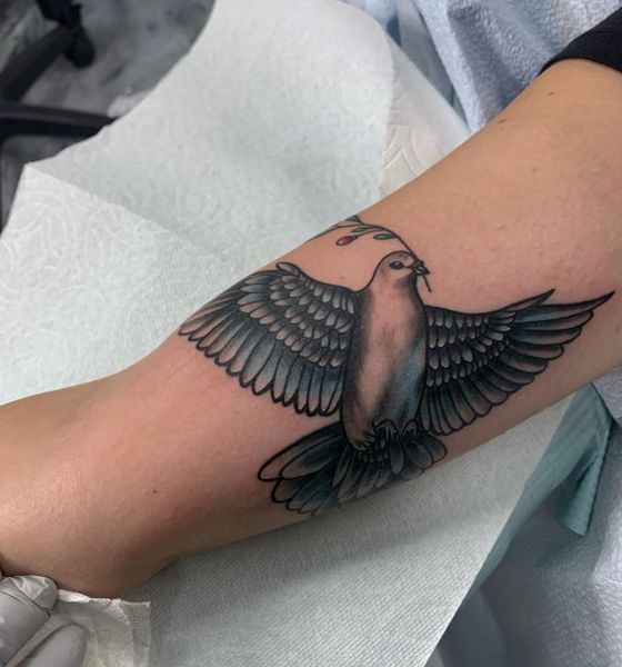 Beautiful Dove Tattoo Design on Sleeve