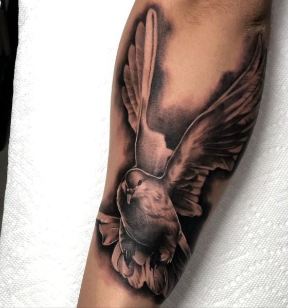 Best Flying Dove Tattoo Design