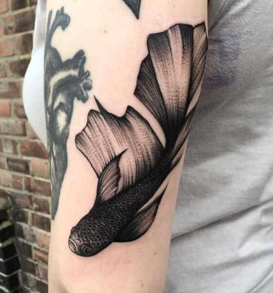 Black koi fish tattoo on sleeve