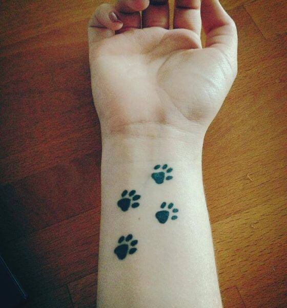 Cute paw print tattoo on arm