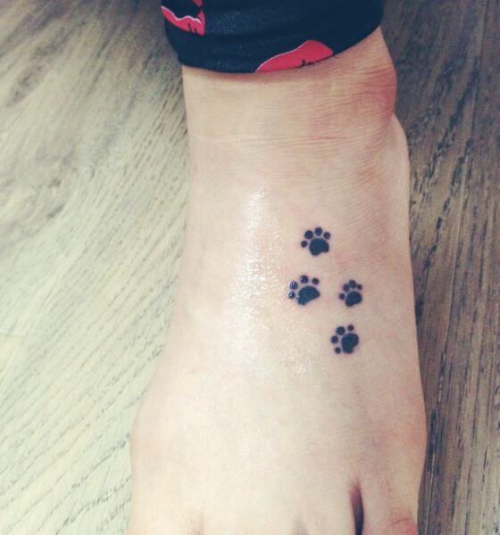 Cute paw print tattoo on foot