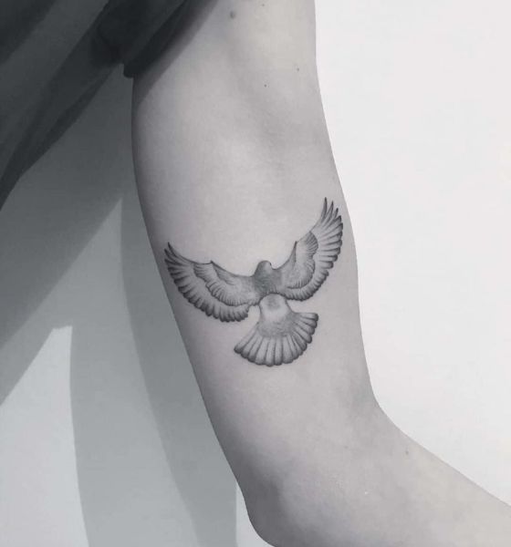 Dove Tattoo Ideas