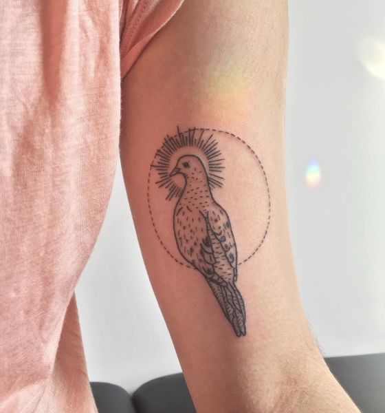 Dove Tattoo on Bicep