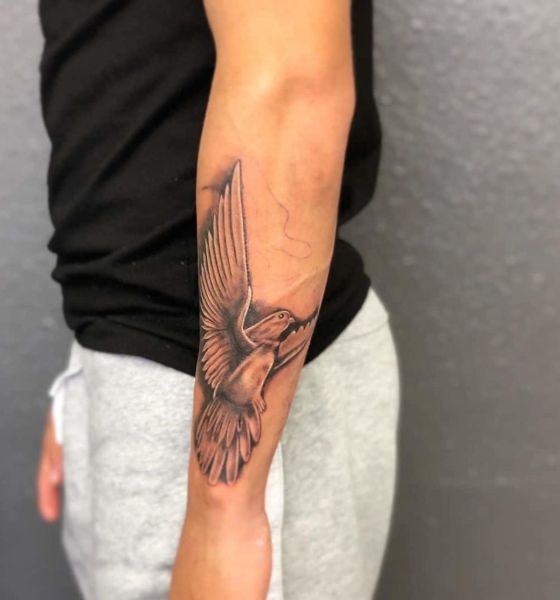 Flying Dove Tattoo on Arm