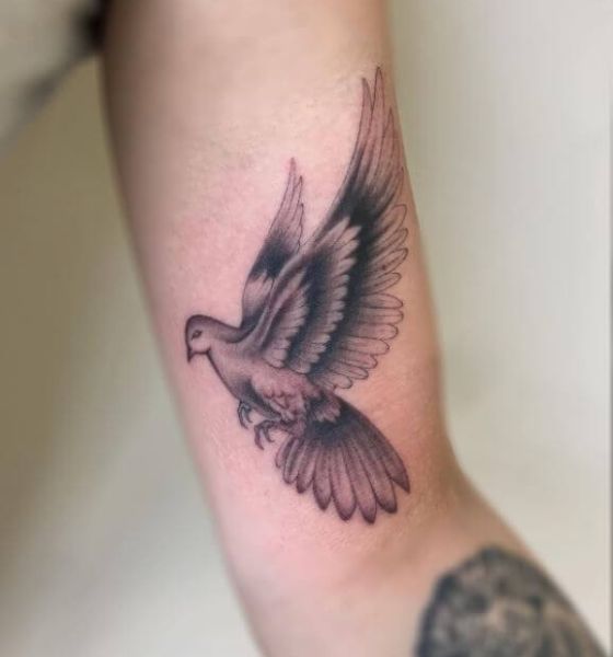 Flying Dove Tattoo