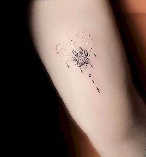 Heart with paw tattoo ideas