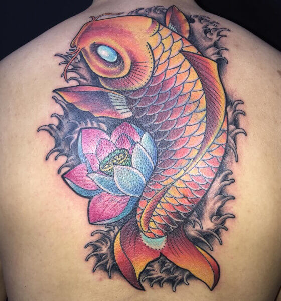 Japanese koi fish tattoo on back