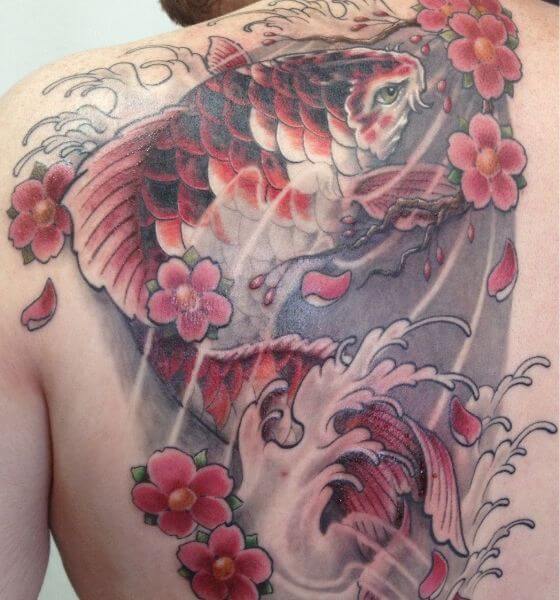 Koi Fish and Cherry Blossom Tattoo on Back