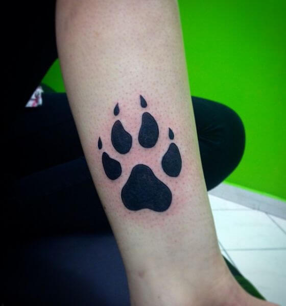 Lion Paw Print Tattoo on Arm