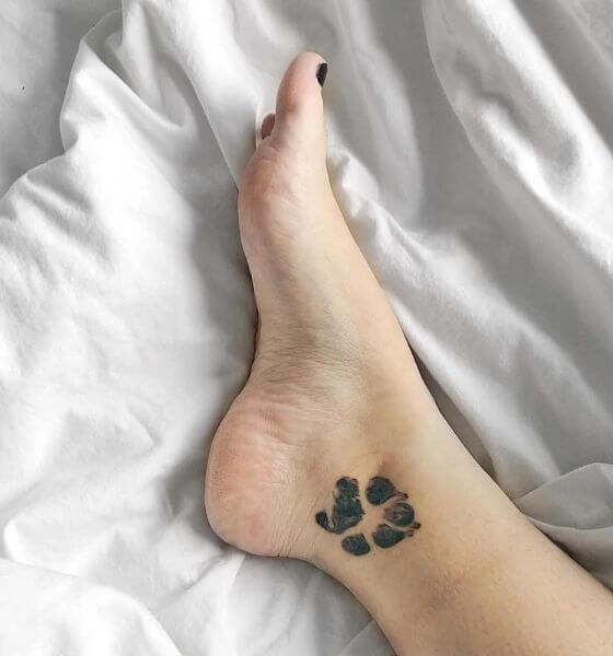 Meaningful paw tattoo on ankle