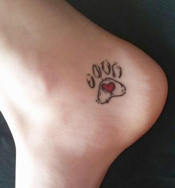 Paw tattoo on foot