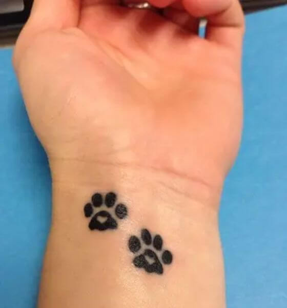 Paw tattoo on wrist