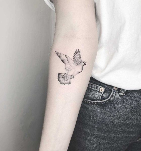 Small Dove Tattoo on Sleeve