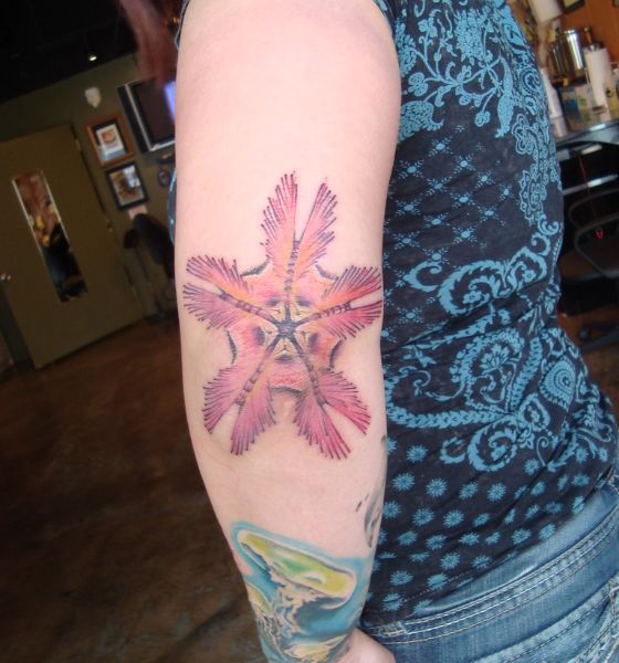 Starfish Tattoo on Elbow