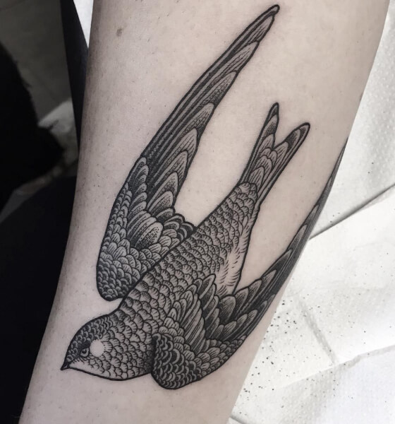 Traditional Dove Tattoo Design