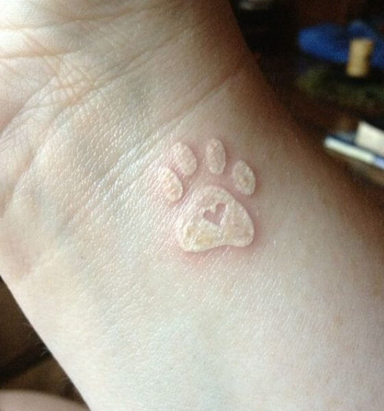 White ink paw tattoo on wrist