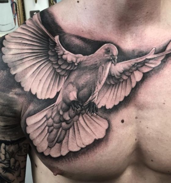 50 Most Beautiful Dove Tattoo Design Ideas with Meaning
