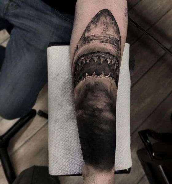 Amazing Shark Tattoo Design on Hand